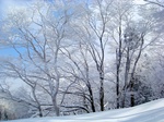 DSC09492.jpg
