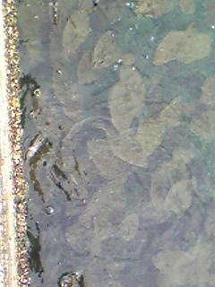 Image034.jpg